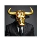 Mr. Bull Trading