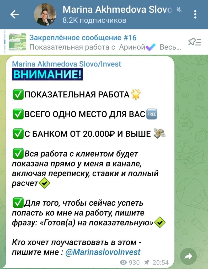 Marina Akhmedova Slovo Invest инвестиции