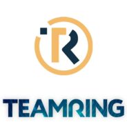 Teamring io