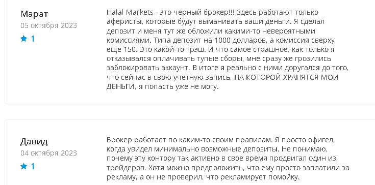 Отзывы о проекте Halal Markets Group