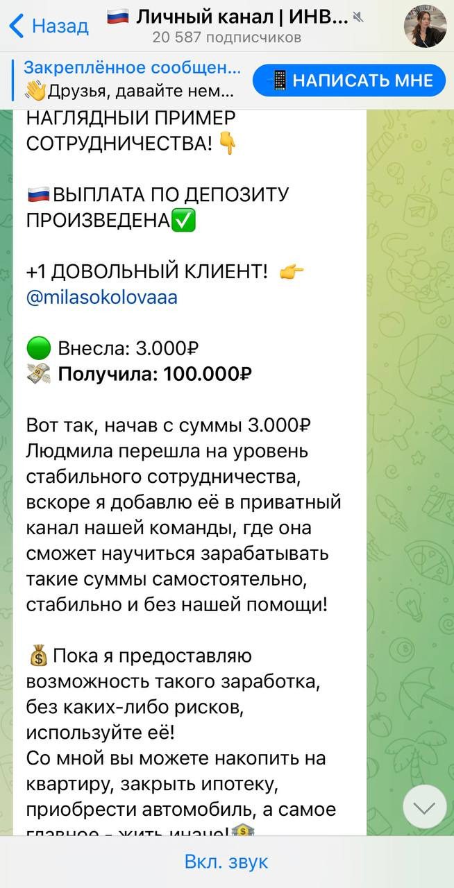 Отчет по выплатам