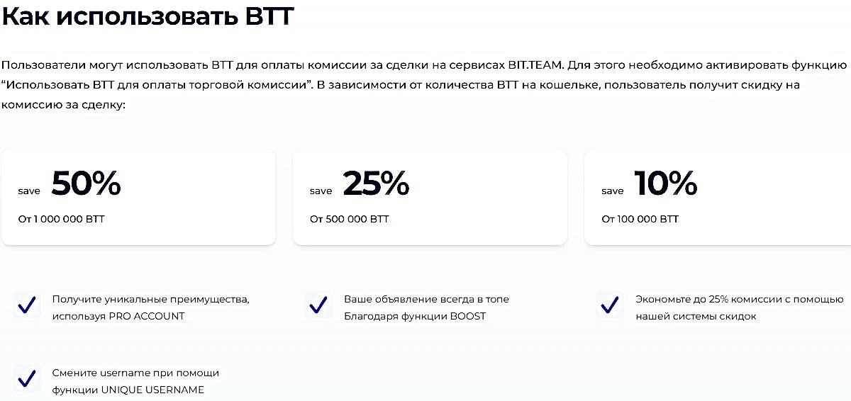 Bit Team инфо