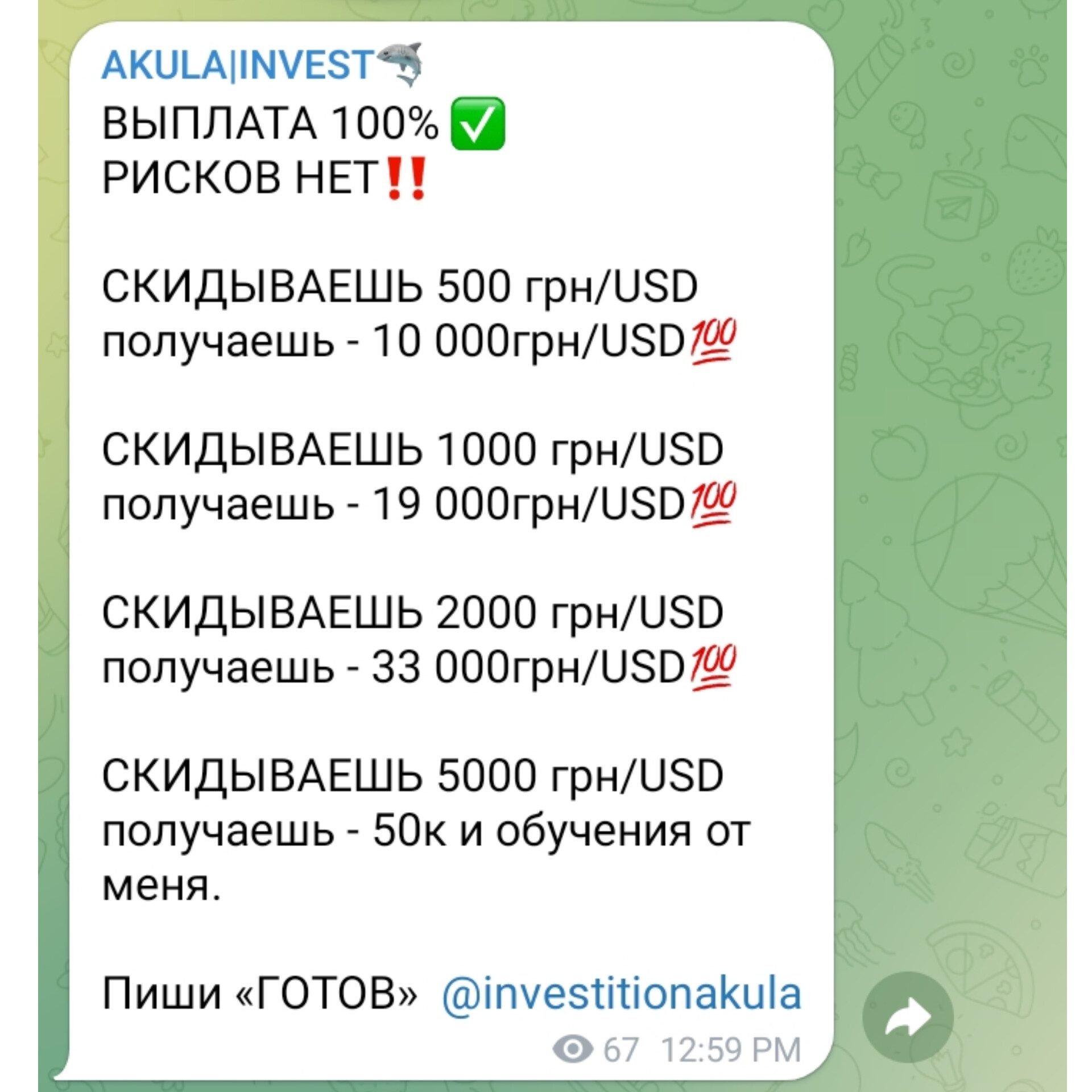 Akula Invest  Инвестор