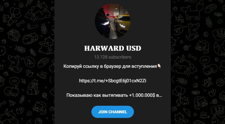 Проект Harvard USD